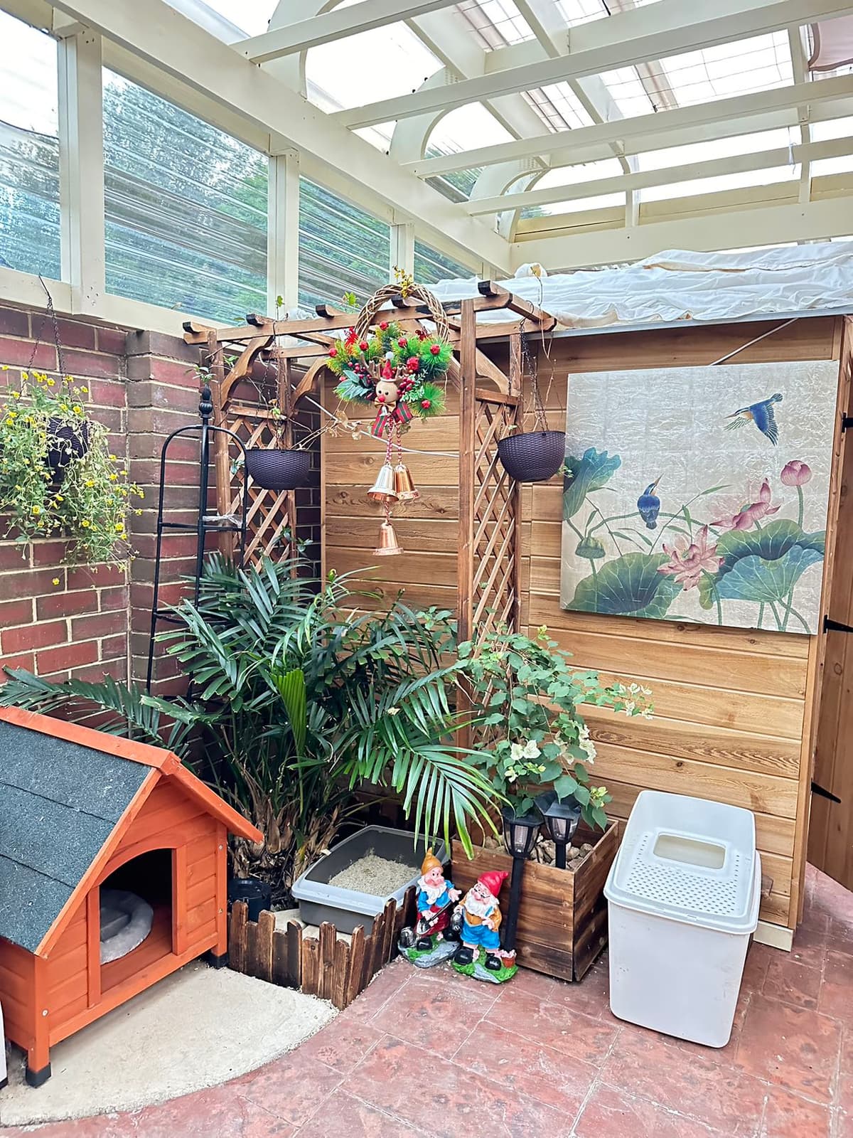 Environment of SmallCabin Cattery