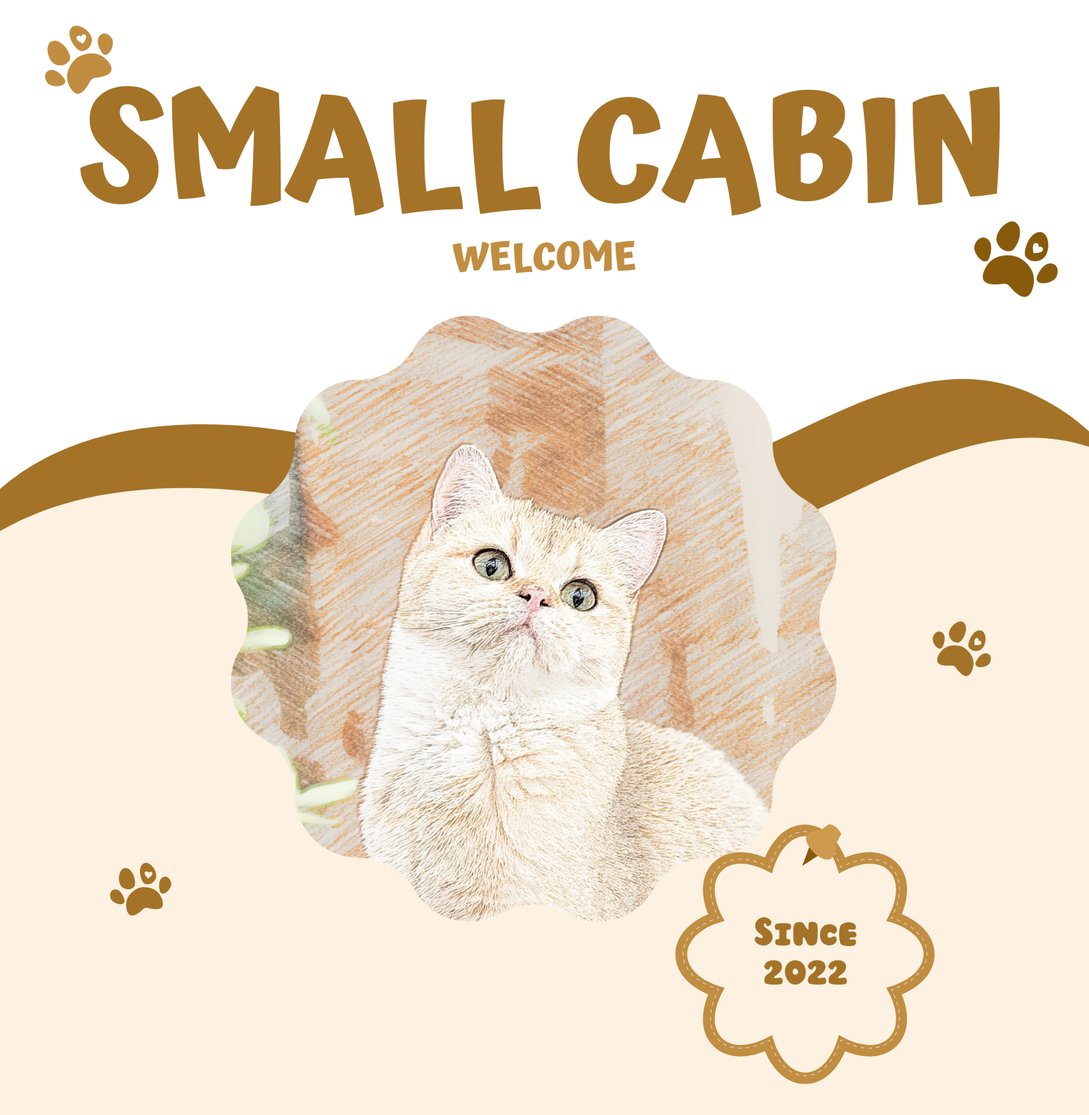 GCCFV-registered breeder of British Shorthairs